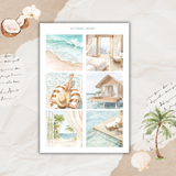 coconut dune sticker sheet set