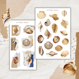 vintage seashells sticker sheet set