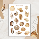 vintage seashells sticker sheet set