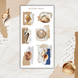 vintage seashells sticker sheet set
