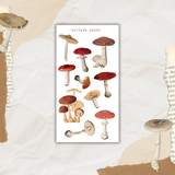 vintage mushroom sticker sheet bundle