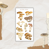 vintage mushroom sticker sheet bundle