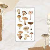 vintage mushroom sticker sheet bundle