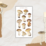 vintage mushroom sticker sheet bundle