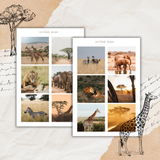 safari picture sticker sheet set
