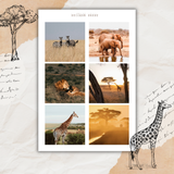 safari picture sticker sheet set