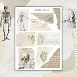 vintage anatomy torn paper sticker sheet