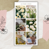 blooming spring picture sticker sheet bundle