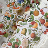 vintage fruits die cut sticker pocket