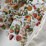 vintage fruits die cut sticker pocket