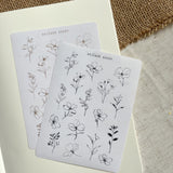 botanical sketches sticker sheet