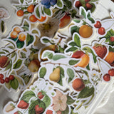 vintage fruits die cut sticker pocket
