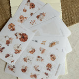 pumpkin autumnal flowers sticker sheet bundle