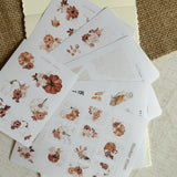 pumpkin autumnal flowers sticker sheet bundle