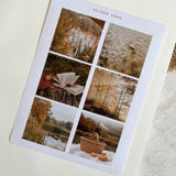 Autumn forest picture sticker sheet