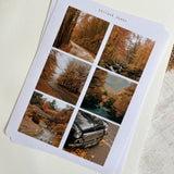 Autumn forest picture sticker sheet