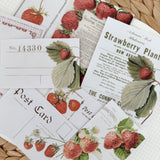 vintage strawberry paper set