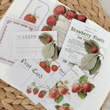 vintage strawberry paper set