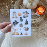 witchy halloween sticker sheet, autumn and spooky sticker sheet