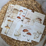 vintage mushroom paper set