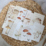 vintage mushroom paper set