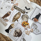 vintage halloween ephemera sticker die cut pocket