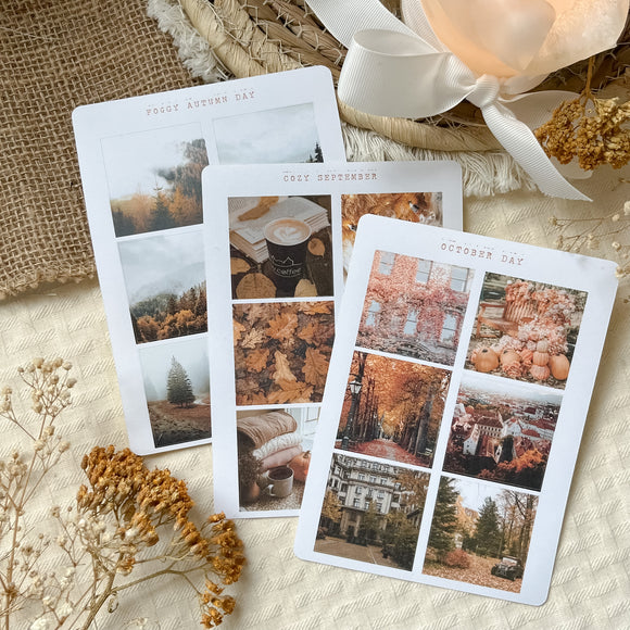 cozy autumn picture sticker, fall sticker sheet, pumpkin, coffee sticker