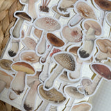 vintage mushroom die cut stickers