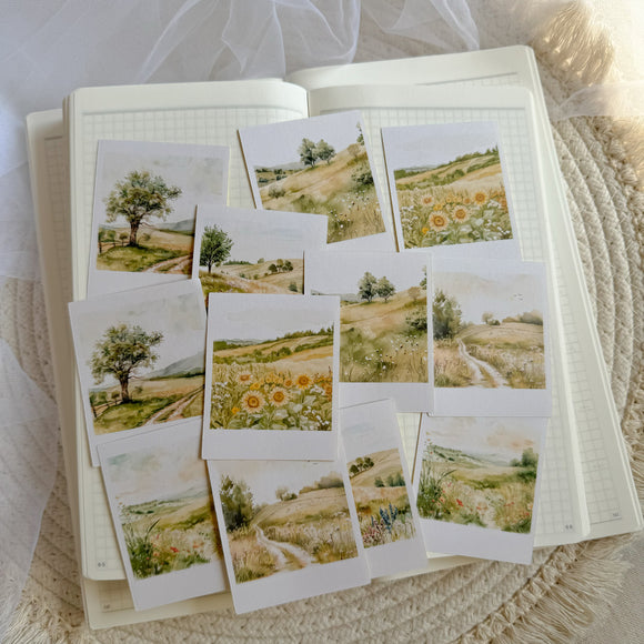 summer meadow polaroid die cut sticker pocket, planner sticker, polaroid pictures sticker, cut out stickers 12 pieces