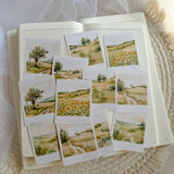 summer meadow polaroid die cut sticker pocket, planner sticker, polaroid pictures sticker, cut out stickers 12 pieces