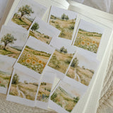 summer meadow polaroid die cut sticker pocket, planner sticker, polaroid pictures sticker, cut out stickers 12 pieces