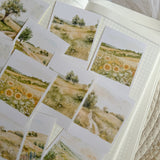 summer meadow polaroid die cut sticker pocket, planner sticker, polaroid pictures sticker, cut out stickers 12 pieces