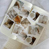 summer in Italy polaroid die cut sticker pocket, planner sticker, polaroid pictures sticker, cut out stickers 14 pieces