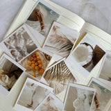 summer in Italy polaroid die cut sticker pocket, planner sticker, polaroid pictures sticker, cut out stickers 14 pieces