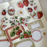 vintage strawberry ephemera die cut sticker pocket, planner sticker, strawberry sticker, summer ephemera cut out stickers 20+ pieces