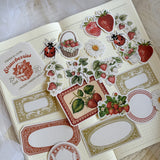 vintage strawberry ephemera die cut sticker pocket, planner sticker, strawberry sticker, summer ephemera cut out stickers 20+ pieces