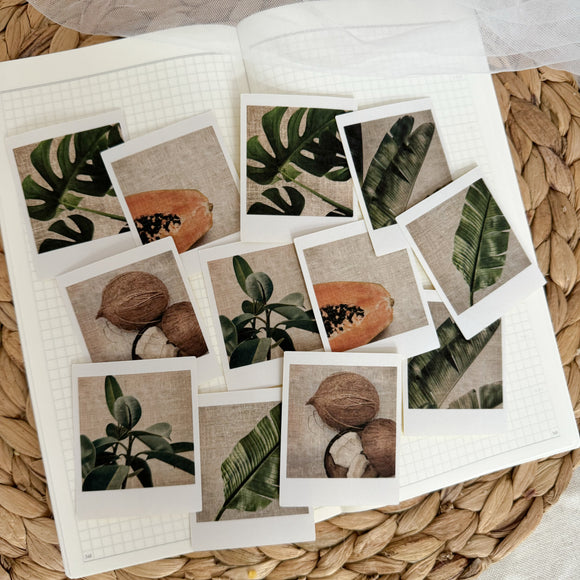 summer tropicals polaroid die cut sticker pocket, planner sticker, polaroid pictures sticker, cut out stickers 12 pieces