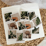 summer tropicals polaroid die cut sticker pocket, planner sticker, polaroid pictures sticker, cut out stickers 12 pieces