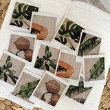 summer tropicals polaroid die cut sticker pocket, planner sticker, polaroid pictures sticker, cut out stickers 12 pieces