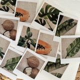 summer tropicals polaroid die cut sticker pocket, planner sticker, polaroid pictures sticker, cut out stickers 12 pieces