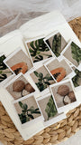 summer tropicals polaroid die cut sticker pocket, planner sticker, polaroid pictures sticker, cut out stickers 12 pieces