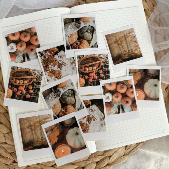 fall days polaroid die cut sticker pocket