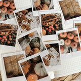 fall days polaroid die cut sticker pocket