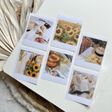 sunflower summer die cut polaroid sticker pocket, vintage sticker, planner sticker, 12 pieces