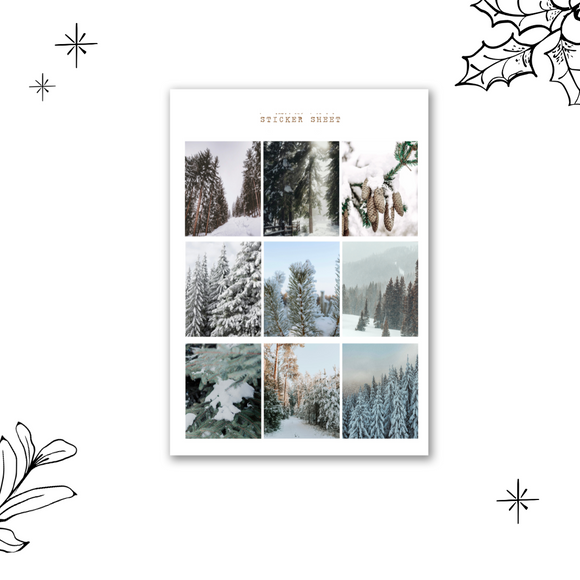 frosty winter forest picture sticker sheet