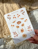 Autumn Flowers sticker sheet