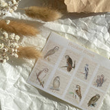 Owls stamp sticker sheet for journaling and penpaling